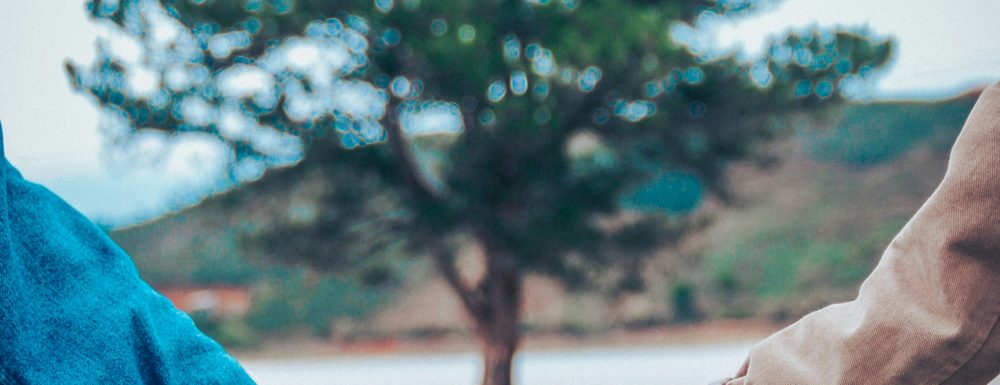 Dve osebi se držita za roke pred drevesom